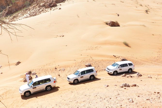 Dubai Desert Safari Exclusive Jeep, Activities, Shows (01-05 Persons) per Jeep - Tour Overview and Details