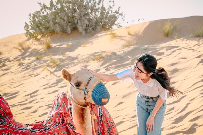 Dubai Desert Safari Premium - ICL Lama Tourism - Overview of the Experience