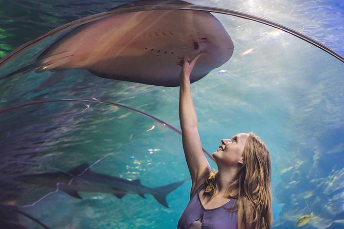 Dubai Mall Aquarium & Underwater Zoo