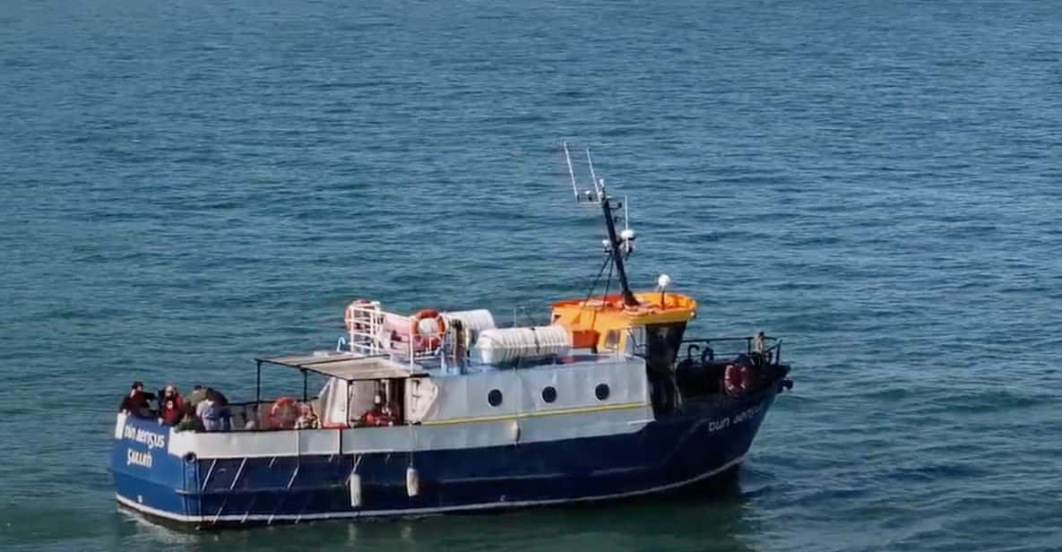 Dublin: Howth Lighthouse and Cliffs Boat Tour - Tour Overview