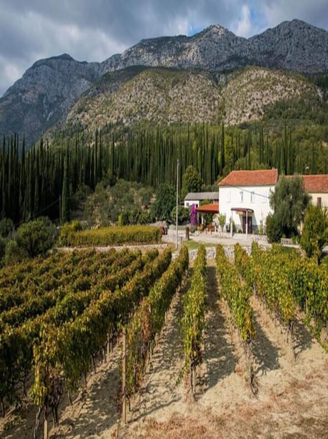 Dubrovnik: Brajković Winery and Ljuta River Tour With …