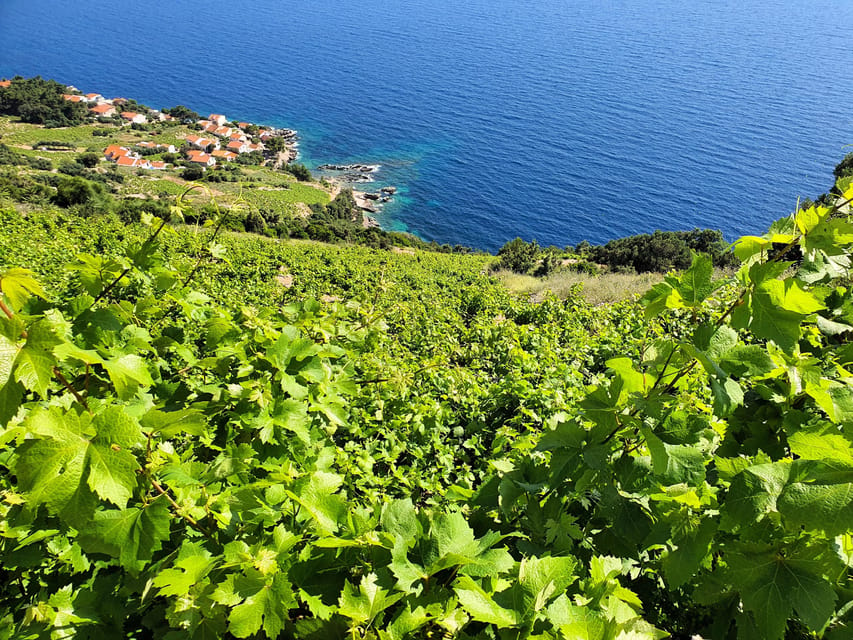 Dubrovnik Private Wine Tasting Tour To Peljesac - Tour Overview and Pricing