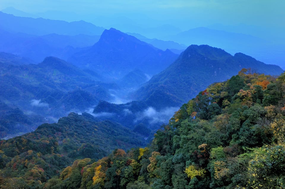 Dujiangyan: Irrigation System & Qingcheng Mountain Day Tour - Tour Overview and Pricing