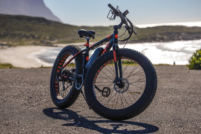 E-Bike Cape Peninsula Tour - Tour Overview