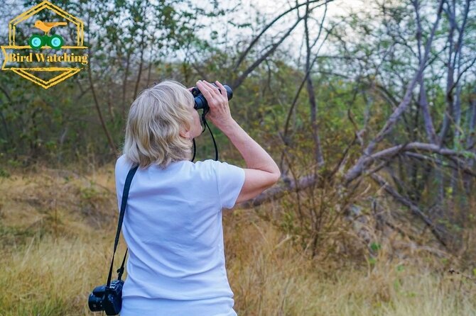 Early Bird Watching Tour – Guanacaste