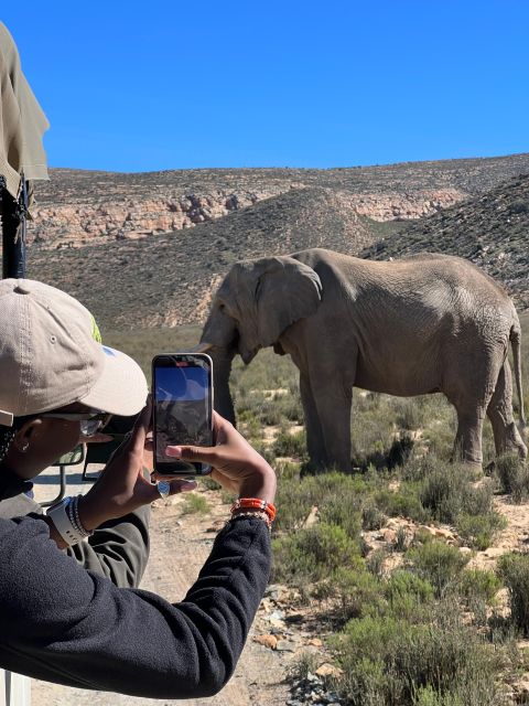 Early Morning Safari Big Five Experience Near Cape Town, SA