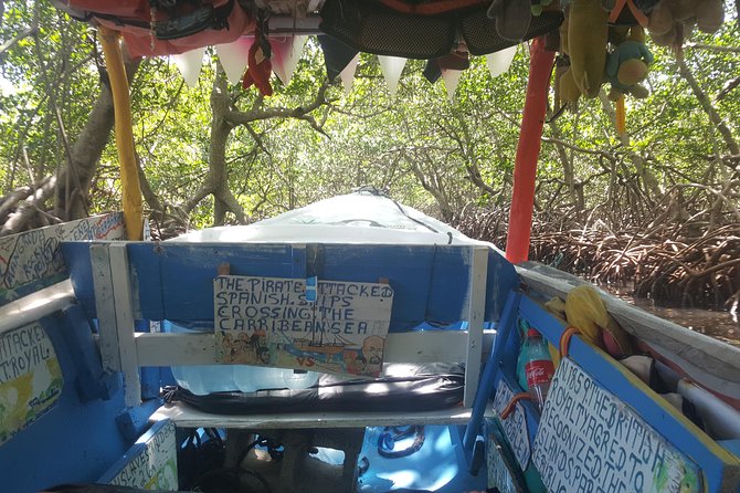 East End Tour (Mangroves, Punta Gorda, Port Royal) With Snorkeling Option