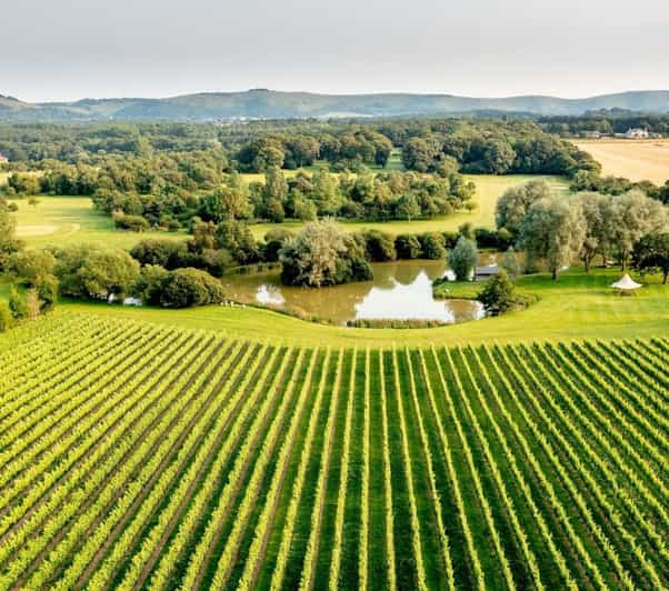 Ebike Tour Albourne Estate: Wine Tasting and Downs Ebiking - Tour Overview