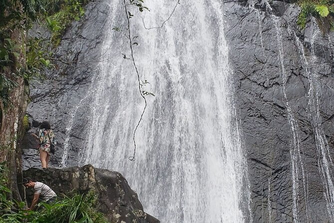 El Yunque Rainforest Guided Tour