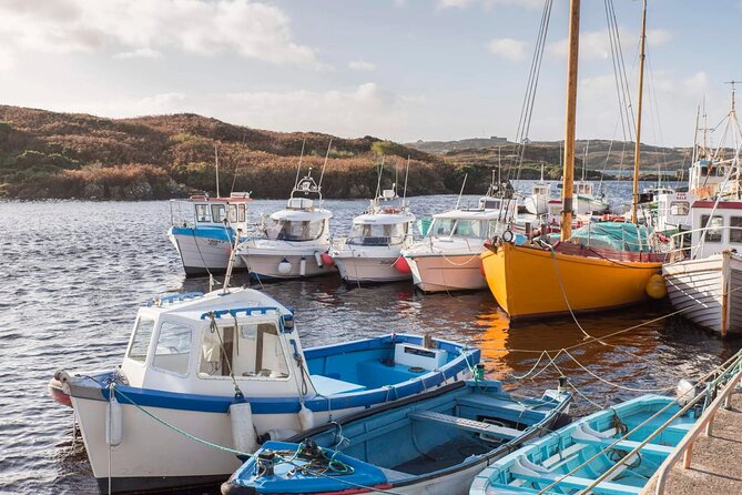 Electric Bike Donegal: Must-Do Half-Day Adventure! - Tour Highlights