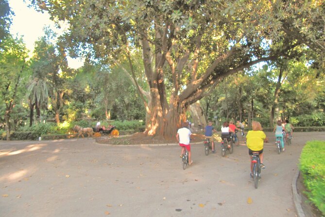 Electric Bike Rental 3 Hours