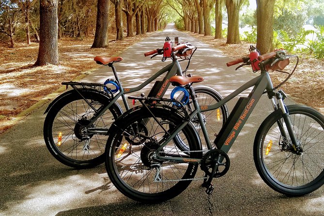 Electric Bike Rentals in the Villages Florida With Delivery - Service Details