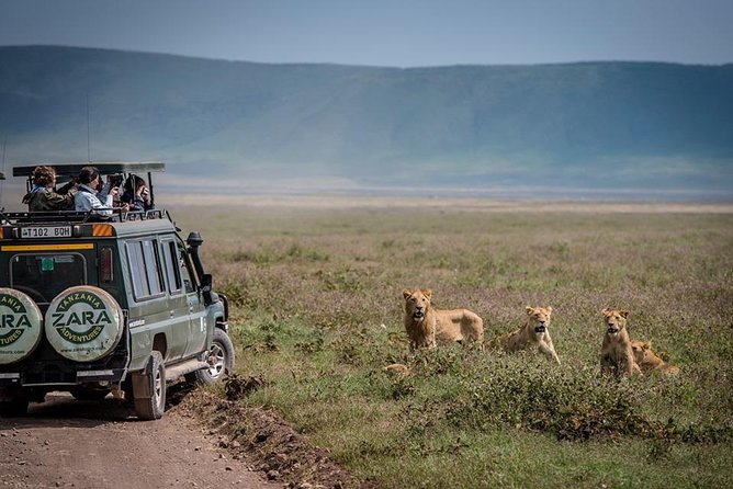 Elephant Special Serengeti & Ngorongoro Crater 5 Days / 4 Nights