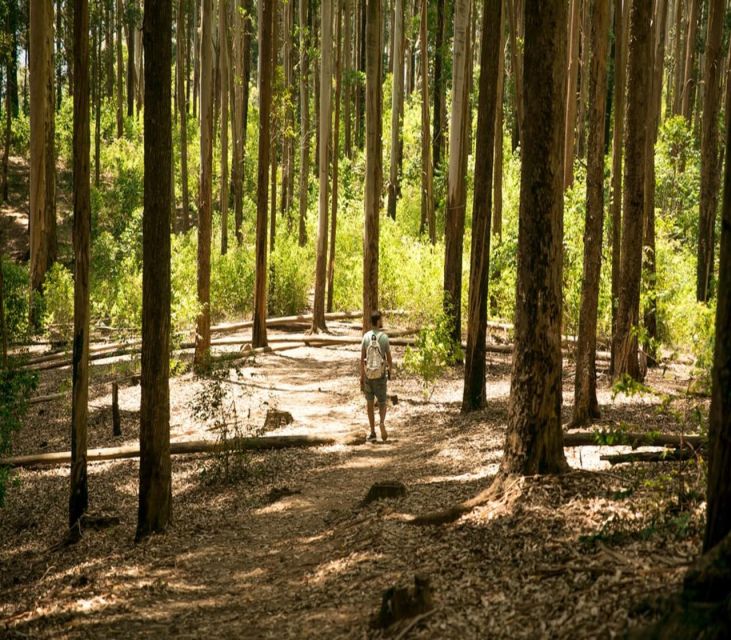 8 Best Guided Tours In Ella Sri Lanka