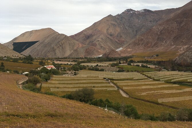 Elqui Valley Full Day Tour: Magical Towns, Pisco and Mountains