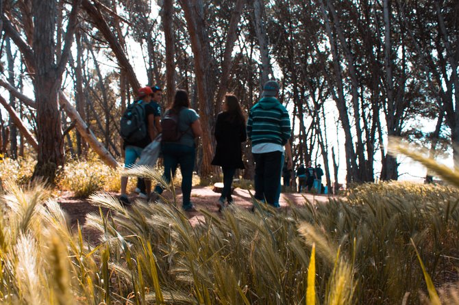 Energy Forest Experience