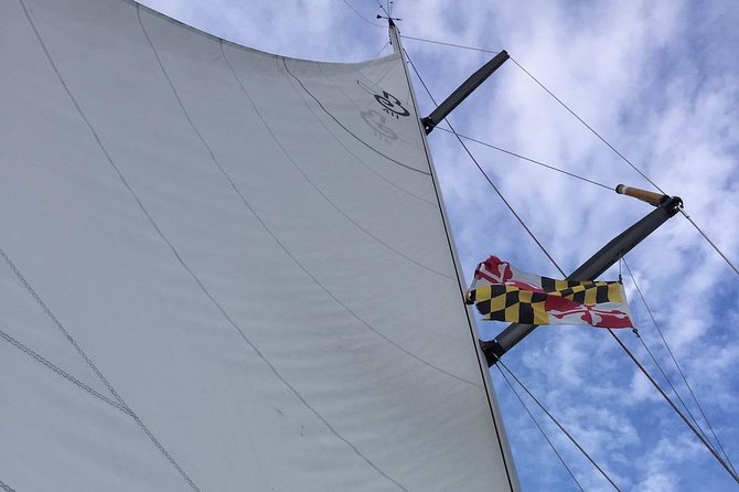 Enjoy A Beautiful Day With Mother Nature Cruises