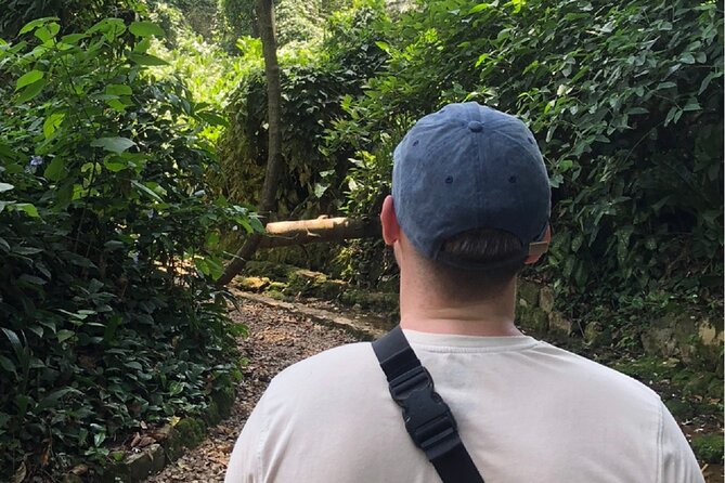Entebbe Walking Tour (3 Hours) With Zoo and Botanical Gardens Options - Overview of the Entebbe Walking Tour
