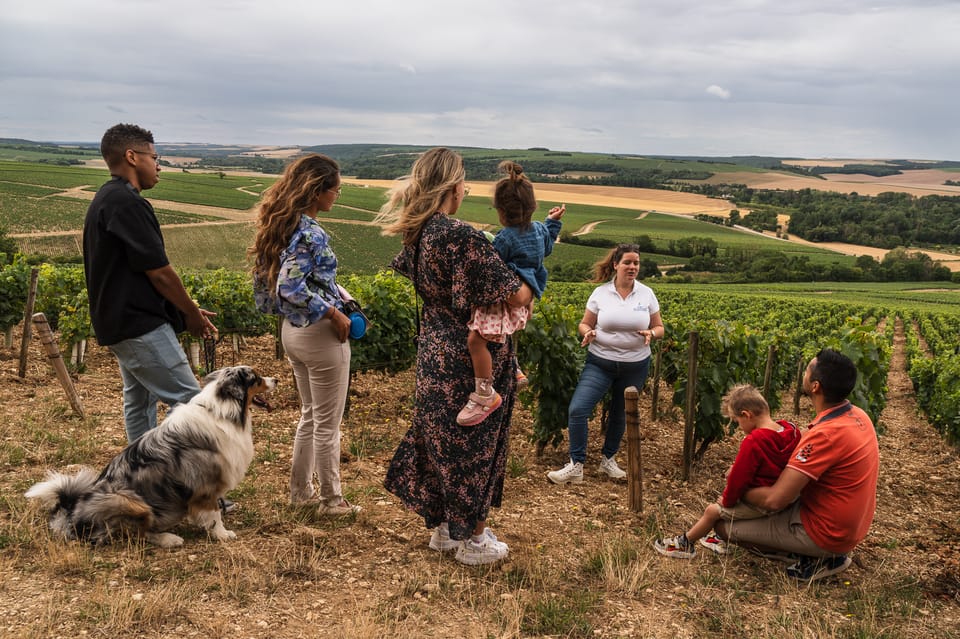 Escapade and Tasting in the Chablis Vineyards - Activity Overview