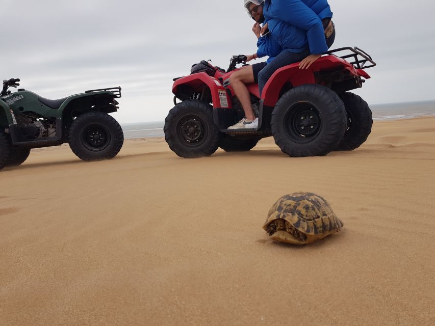 Essaouira : 1 Hour Quad Bike Tour and 1 Hour Dromedary Ride