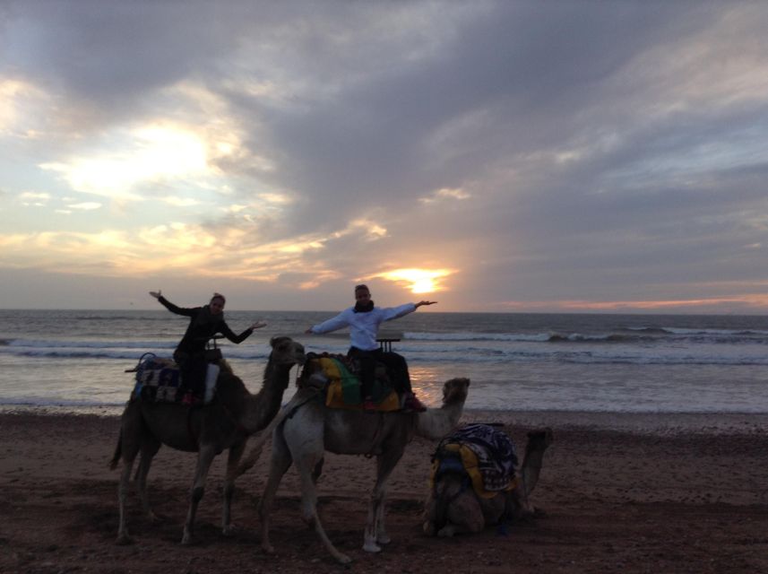 Essaouira: Guided 2h Dromedary Riding With Sunset
