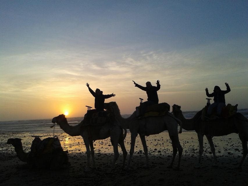 Essaouira: One Hour Dromedary Ride - Dromedary Riding Route