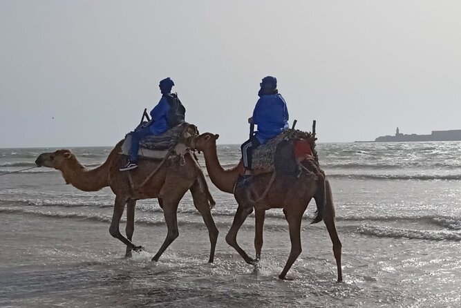 Essaouira Private Camel Ride (1 Hour). - Inclusions for Participants