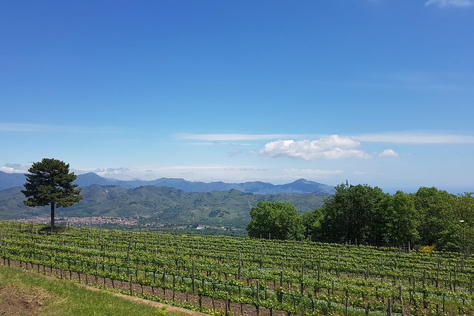 Etna Scenic Tour & Wine Experience (Day Trip)
