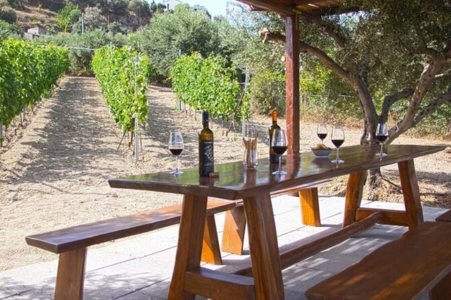 EUPHORIA Wine Tour & Tasting at Douloufakis Vineyards