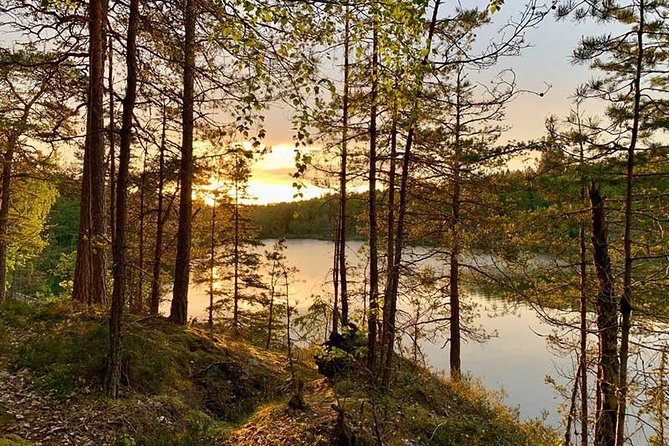 Evening Hike in Tyresta National Park