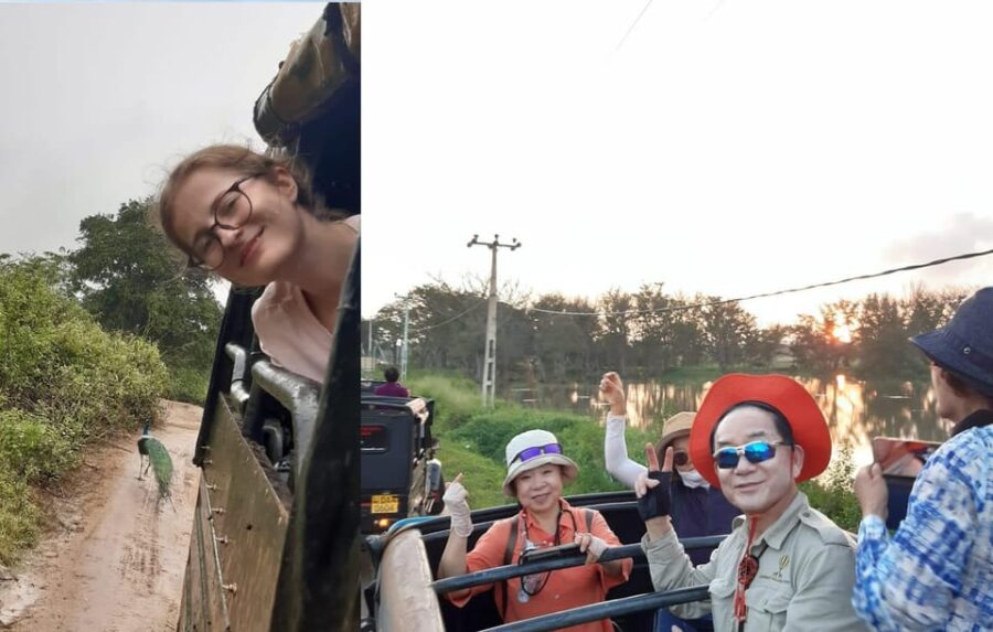 Evening Minneriya National Park Safari With Pickup and Drop