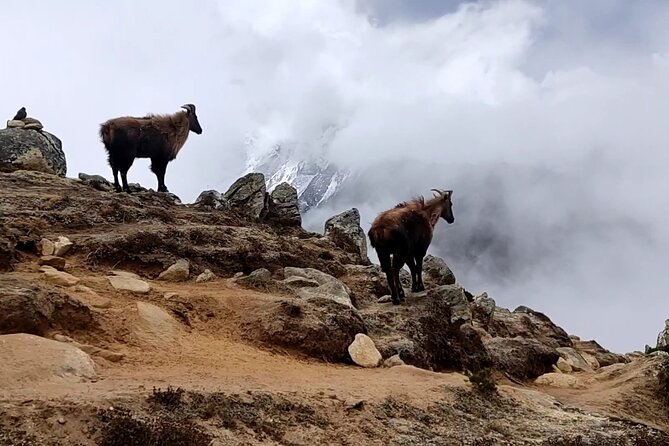 Everest Base Camp Trekking - Overview of the Trek