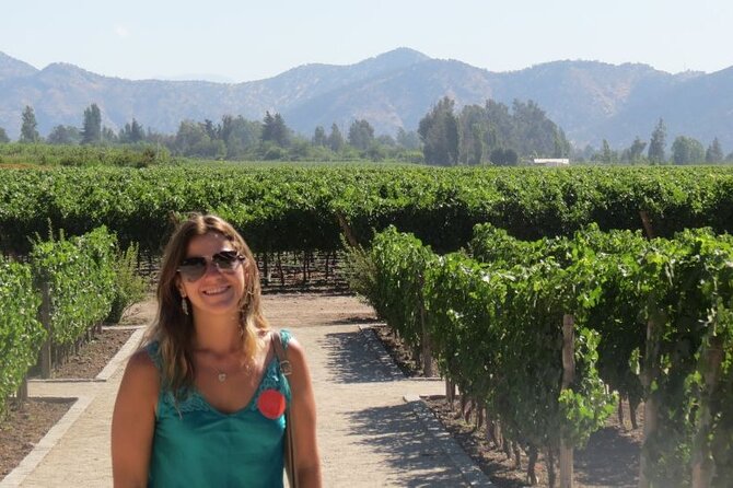 Exclusive Half Day Tour of Winerie Concha Y Toro From Santiago