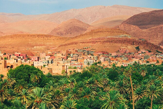 Excursion From Ouarzazate to Vallee Du Draa, Zagora and Dunes De Tinfou
