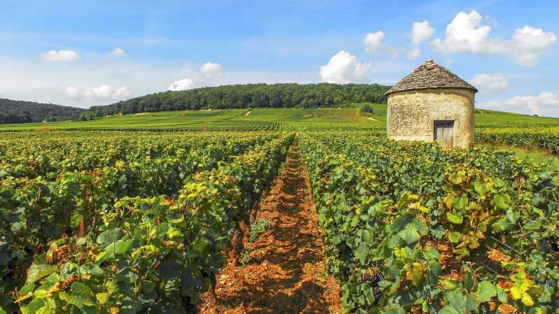 Excursion From PARIS to BEAUNE : the Vineyards of Burgundy - Itinerary Highlights