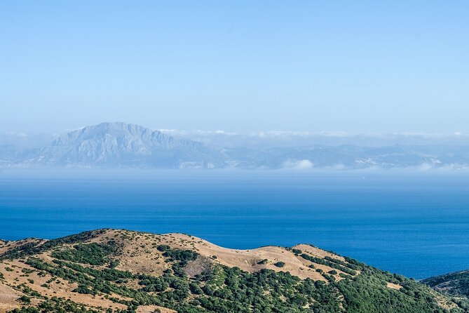 Excursion to Gibraltar With Rock Tour From Malaga
