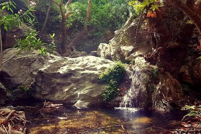 Excursion to Richtis Gorge & Waterfall
