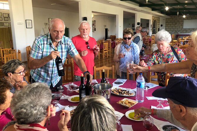 Excursion Visiting Wineries in Tenerife With Lunch