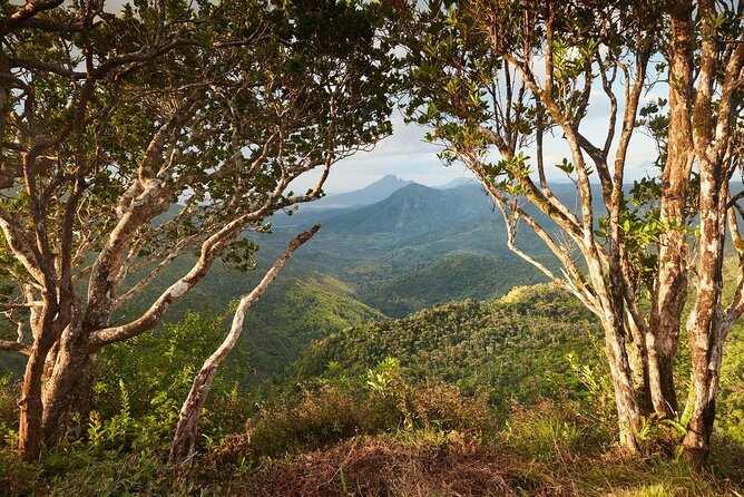 EXOTIC South West Mauritius With Ebony JEEP Forest Safari & Lunch