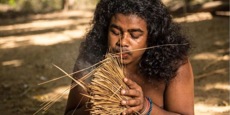 Expedition to an Indigenous Rainforest Haven