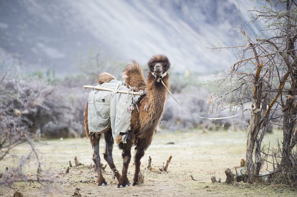 EXPLORATION AT LADAKH_08DAYS - Getting to Leh