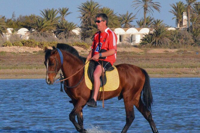 Explore Djerba With Our Four-Legged Friends
