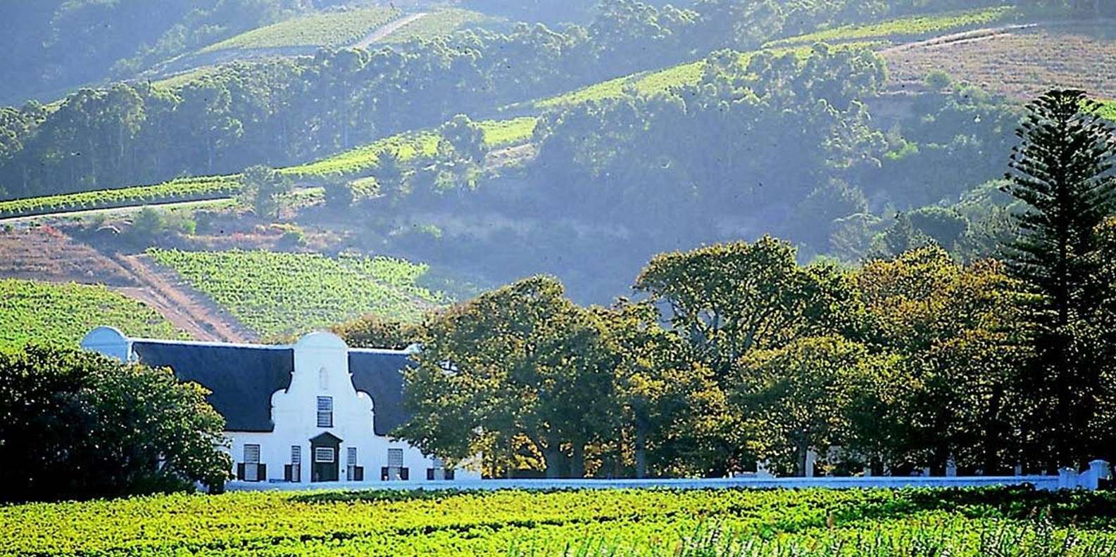 Explore Stellenbosch, Paarl, & Franschhoek Private Wine Tour - Tour Overview and Pricing