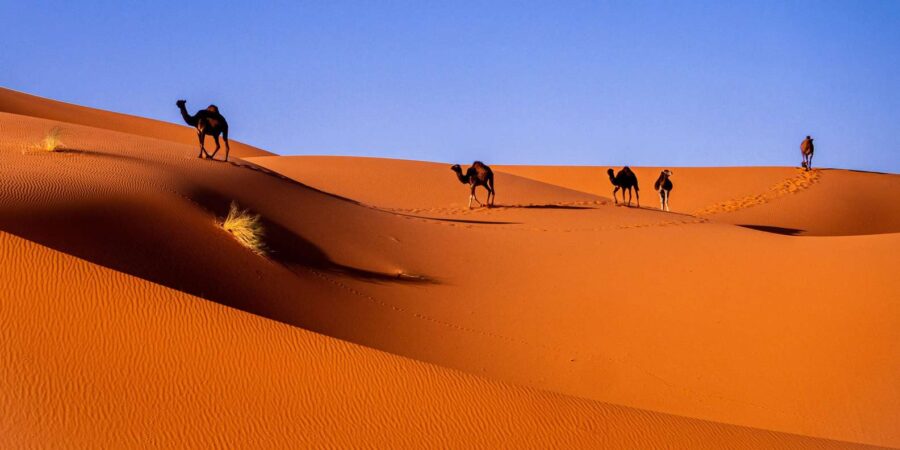 Explore the Sahara: A 3-Day Journey to Merzouga