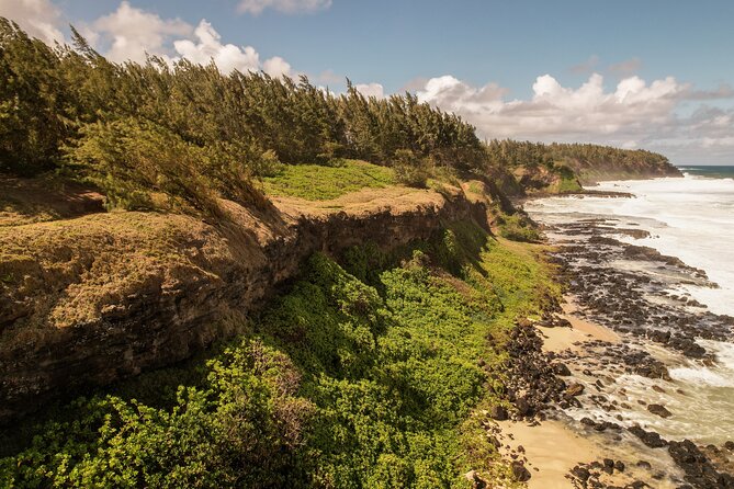 Explore The Wild South