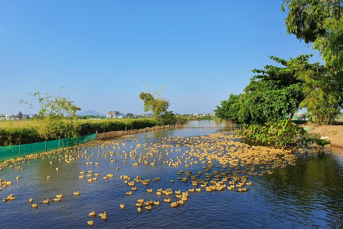 Exploring Hues Countryside on a Half-Day Tour by Bicycle