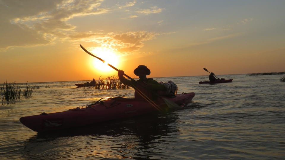 Exploring the Magic of the Danube Delta Through Photo Lenses - The Allure of the Danube Delta