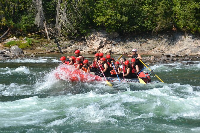 Family Friendly Whitewater Rafting