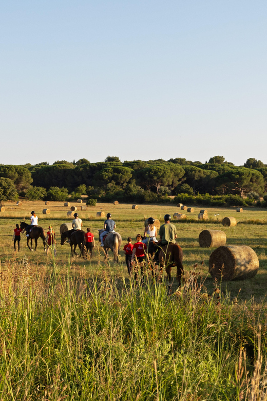 Fazana: Sunset 1-Hour Horse Riding in Nature With Guide - Activity Overview