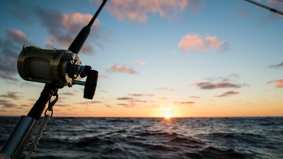 Fishing Tour in Mirissa - Overview of the Activity